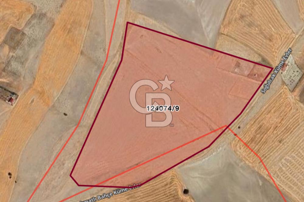 ANKARA GÖLBAŞI'DA SOĞULCAK'TA 1500 M2 SATILIK TARLA