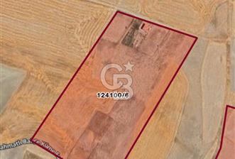 ANKARA GÖLBAŞINDA MAHMATLIBAHÇE DE SATILIK TARLA 5436 m2