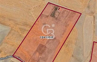 ANKARA GÖLBAŞINDA MAHMATLIBAHÇE DE SATILIK TARLA 5436 m2