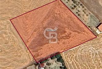ANKARA GÖLBAŞINDA MAHMATLIBAHÇE DE 2506 m2 SATILIK TARLA