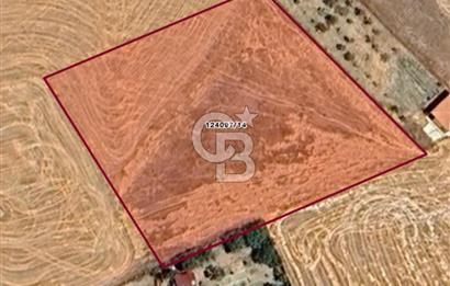 ANKARA GÖLBAŞINDA MAHMATLIBAHÇE DE 2506 m2 SATILIK TARLA