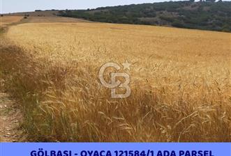 ANKARA GÖLBAŞI OYACA'DA SATILIK 17.373 m² Tarla