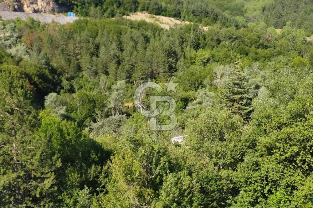 SATILIK Safranbolu Kırıklar Köyü, Bartın Yolu Üzeri Bahçe/Tarla