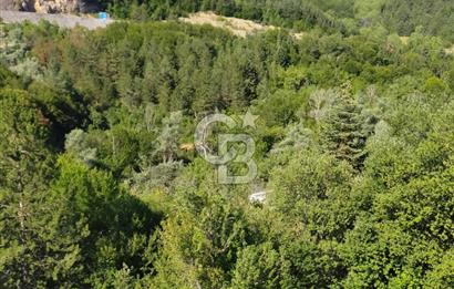 SATILIK Safranbolu Kırıklar Köyü, Bartın Yolu Üzeri Bahçe/Tarla