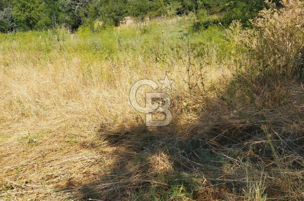 SATILIK Safranbolu Kırıklar Köyü, Bartın Yolu Üzeri Bahçe/Tarla