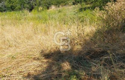 SATILIK Safranbolu Kırıklar Köyü, Bartın Yolu Üzeri Bahçe/Tarla