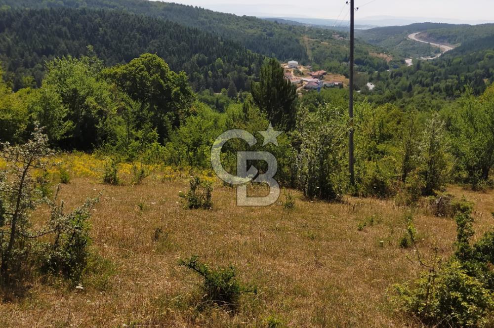 SATILIK Safranbolu Kırıklar Köyü, Bartın Yolu Üzeri Bahçe/Tarla