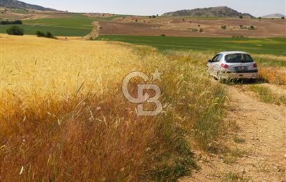 ANKARA GÖLBAŞI OYACA'DA SATILIK 17.373 m² Tarla