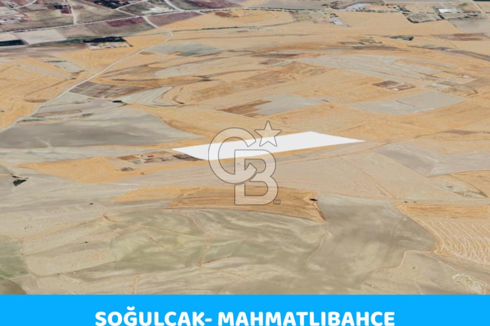 ANKARA GÖLBAŞINDA MAHMATLIBAHÇE DE SATILIK TARLA 5436 m2