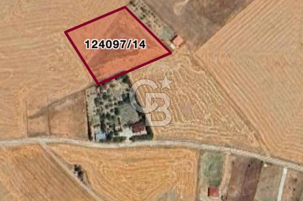 ANKARA GÖLBAŞINDA MAHMATLIBAHÇE DE 2506 m2 SATILIK TARLA