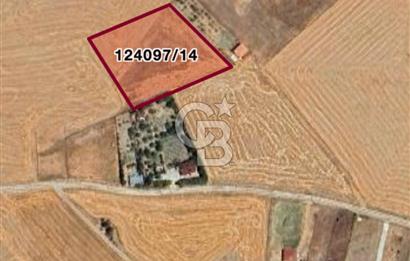 ANKARA GÖLBAŞINDA MAHMATLIBAHÇE DE 2506 m2 SATILIK TARLA