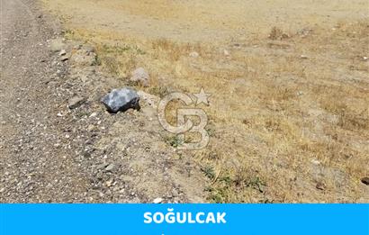 ANKARA GÖLBAŞI SOĞULCAK'TA KÖYE YAKIN TEK TAPU TARLA FIRSATI