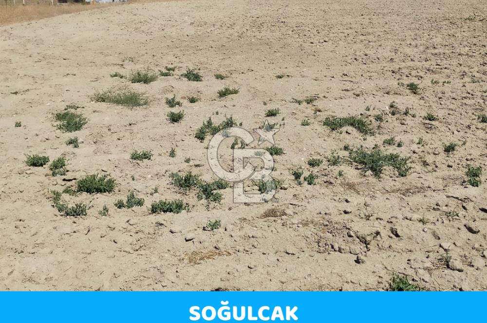 Ankara Gölbaşı Soğulcakta 585 m² Hisseli Tarla