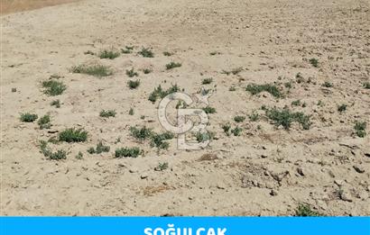 Ankara Gölbaşı Soğulcakta 585 m² Hisseli Tarla