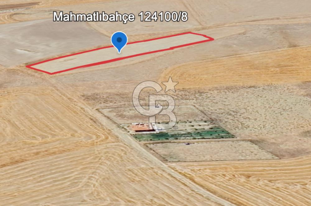 ANKARA GÖLBAŞINDA MAHMATLIBAHÇE DE 1646 M2 SATILIK TARLA