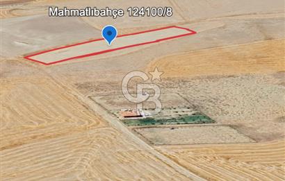 ANKARA GÖLBAŞINDA MAHMATLIBAHÇE DE 1646 M2 SATILIK TARLA
