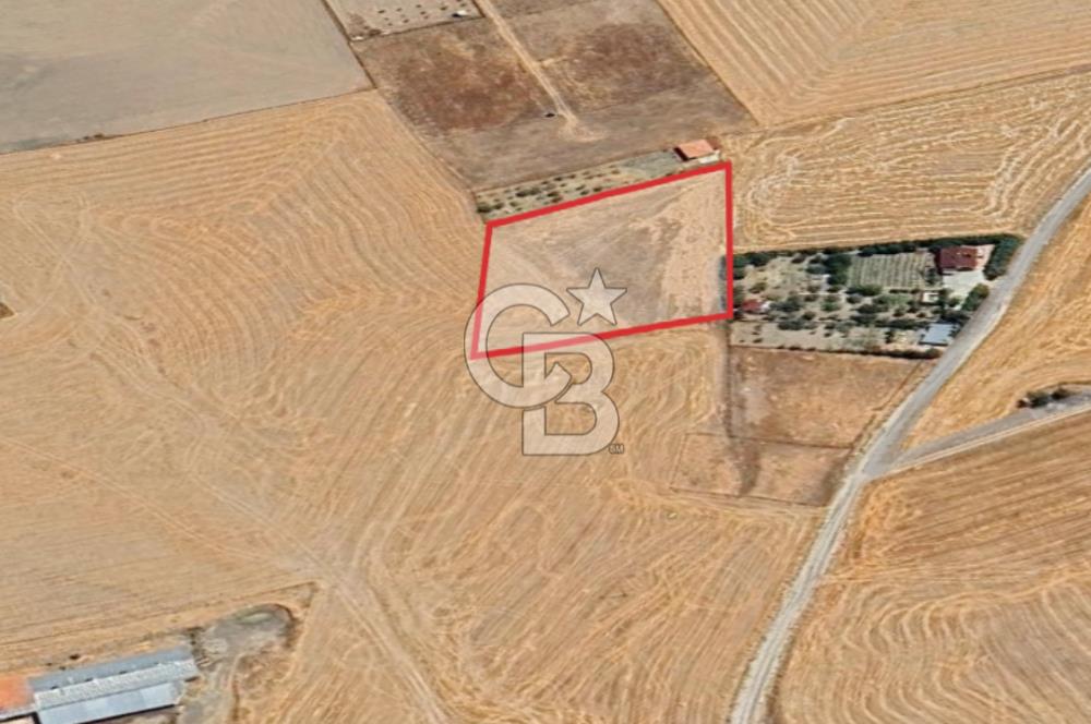 ANKARA GÖLBAŞINDA MAHMATLIBAHÇE DE 2506 m2 SATILIK TARLA
