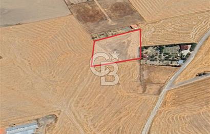 ANKARA GÖLBAŞINDA MAHMATLIBAHÇE DE 2506 m2 SATILIK TARLA
