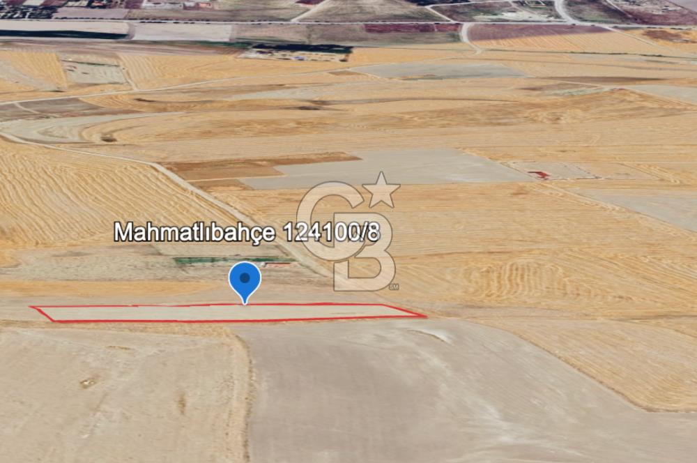 ANKARA GÖLBAŞINDA MAHMATLIBAHÇE DE 1646 M2 SATILIK TARLA