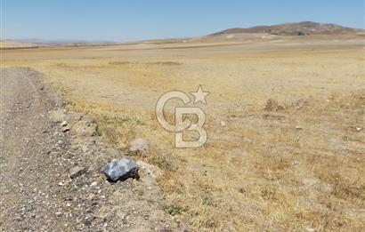 ANKARA GÖLBAŞI SOĞULCAK'TA KÖYE YAKIN TEK TAPU TARLA FIRSATI