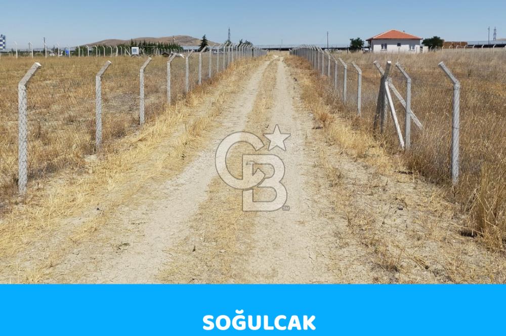 ANKARA GÖLBAŞI SOĞULCAK'TA TARLA FIRSATI