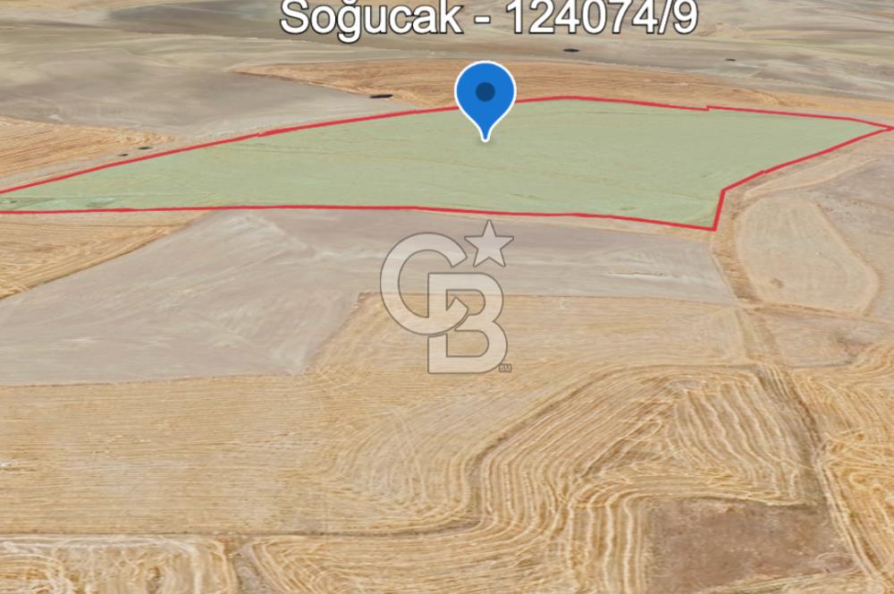 ANKARA GÖLBAŞI'DA SOĞULCAK'TA 1500 M2 SATILIK TARLA