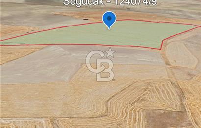 ANKARA GÖLBAŞI'DA SOĞULCAK'TA 1500 M2 SATILIK TARLA