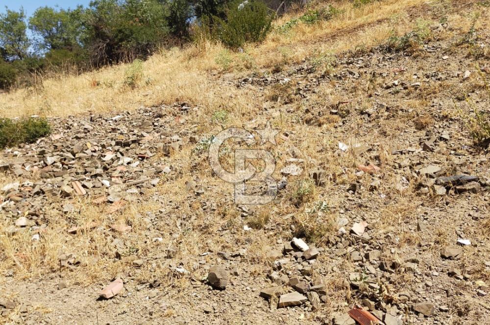 ANKARA ÇANKAYA YAKUPABDALDA SATILIK BAĞ