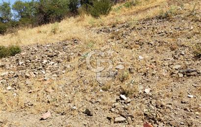 ANKARA ÇANKAYA YAKUPABDALDA SATILIK BAĞ