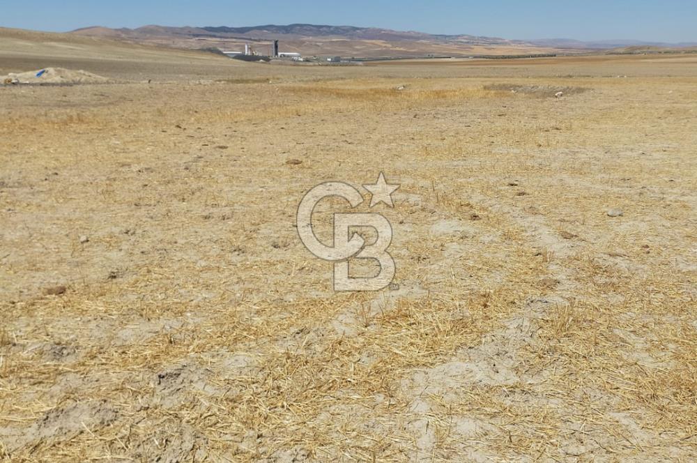 ANKARA GÖLBAŞI SOĞULCAK'TA KÖYE YAKIN TEK TAPU TARLA FIRSATI