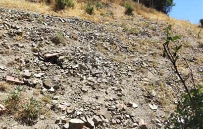 ANKARA ÇANKAYA YAKUPABDALDA SATILIK BAĞ