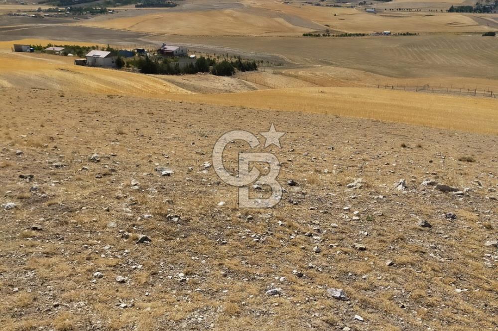 ANKARA GÖLBAŞINDA MAHMATLIBAHÇE DE SATILIK TARLA 5436 m2