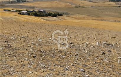 ANKARA GÖLBAŞINDA MAHMATLIBAHÇE DE SATILIK TARLA 5436 m2