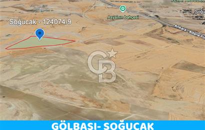 ANKARA GÖLBAŞI'DA SOĞULCAK'TA 1500 M2 SATILIK TARLA