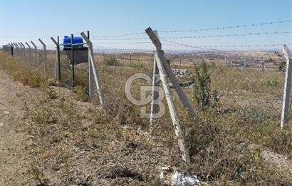 ANKARA GÖLBAŞI SOĞULCAK'TA TARLA FIRSATI