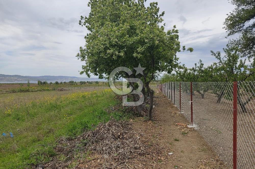 ÇANAKKALE LAPSEKİ KANGIRLI'DA SATILIK ARSA 