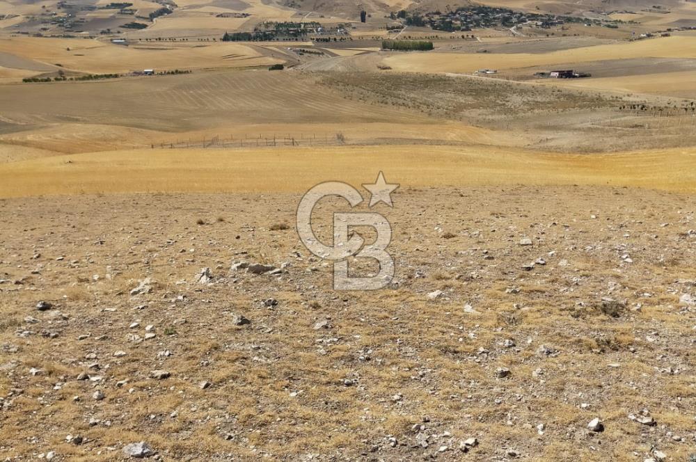 ANKARA GÖLBAŞINDA MAHMATLIBAHÇE DE SATILIK TARLA 5436 m2