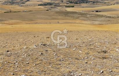 ANKARA GÖLBAŞINDA MAHMATLIBAHÇE DE SATILIK TARLA 5436 m2