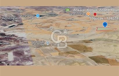 ANKARA GÖLBAŞI'DA SOĞULCAK'TA 1500 M2 SATILIK TARLA