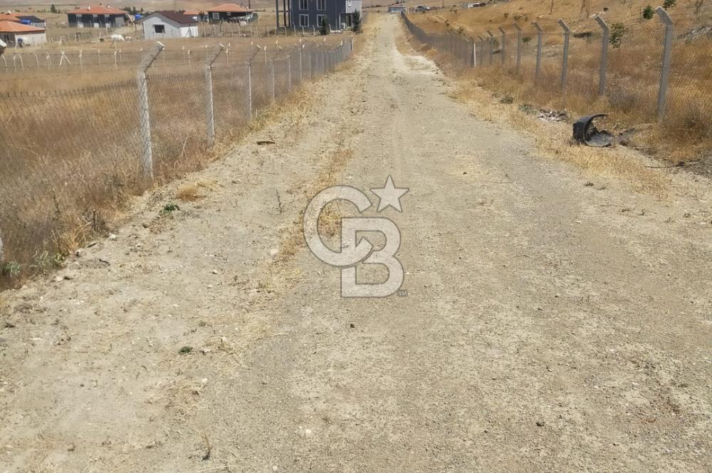 ANKARA GÖLBAŞI SOĞULCAK'TA KÖYE YAKIN TARLA FIRSATI