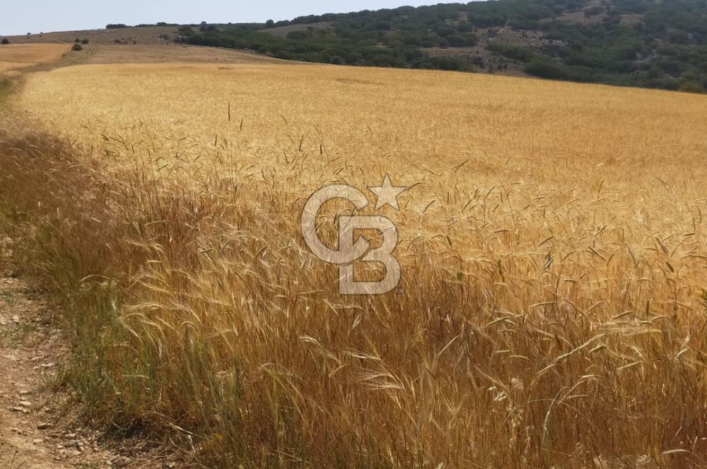 ANKARA GÖLBAŞI OYACA'DA SATILIK 17.373 m² Tarla