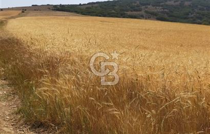 ANKARA GÖLBAŞI OYACA'DA SATILIK 17.373 m² Tarla