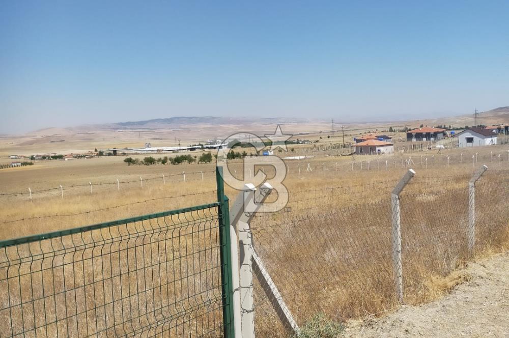 ANKARA GÖLBAŞI SOĞULCAK'TA KÖYE YAKIN TARLA FIRSATI