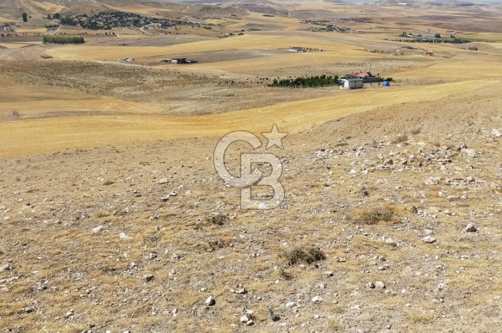 ANKARA GÖLBAŞINDA MAHMATLIBAHÇE DE SATILIK TARLA 5436 m2