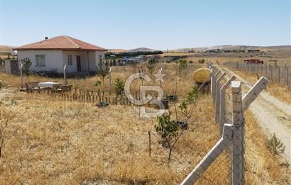 ANKARA GÖLBAŞI SOĞULCAK'TA TARLA FIRSATI