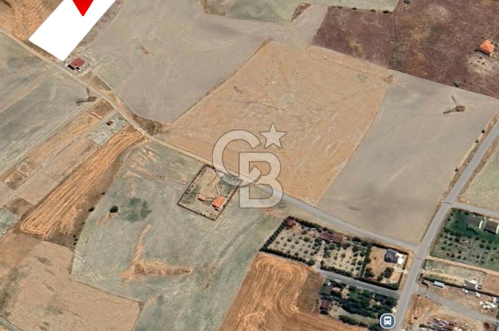 ANKARA GÖLBAŞI SOĞULCAK'TA KÖYE YAKIN TEK TAPU TARLA FIRSATI