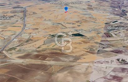 ANKARA GÖLBAŞINDA MAHMATLIBAHÇE DE 1646 M2 SATILIK TARLA