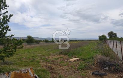 ÇANAKKALE LAPSEKİ KANGIRLI'DA SATILIK ARSA 