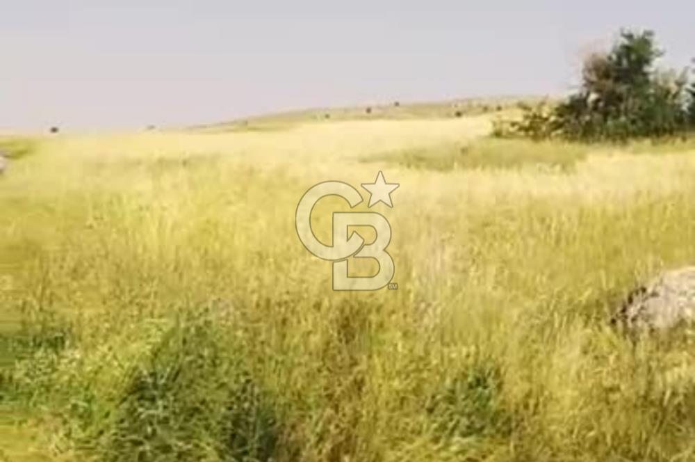 ANKARA GÖLBAŞI OYACA'DA SATILIK 17.373 m² Tarla