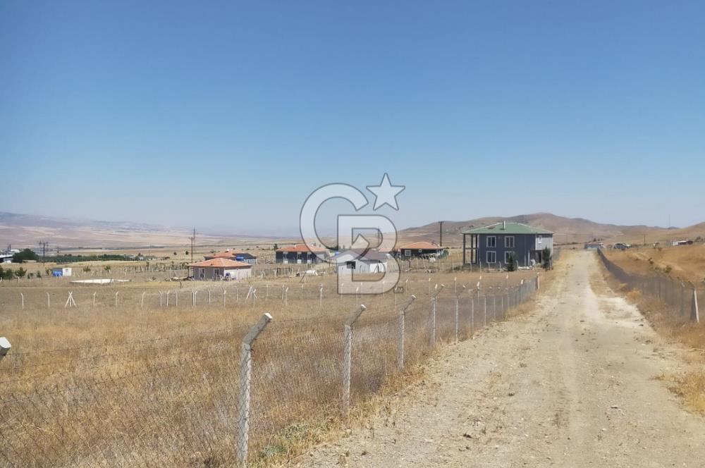 ANKARA GÖLBAŞI SOĞULCAK'TA KÖYE YAKIN TARLA FIRSATI
